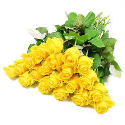 YELLOW ROSES SERVICE ARRANGEMENT